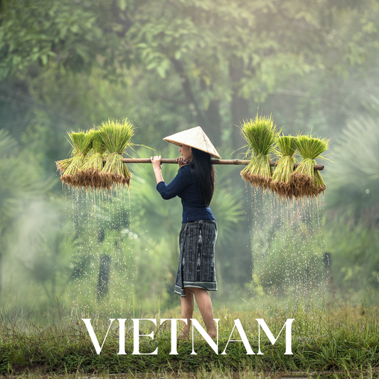 Lueur d'Asie - Recharge pour bougie - TANA Collection