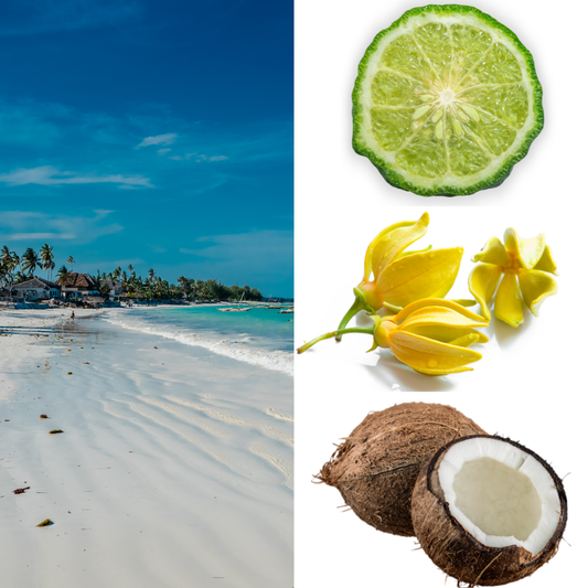 Eveil à Zanzibar - Solaire