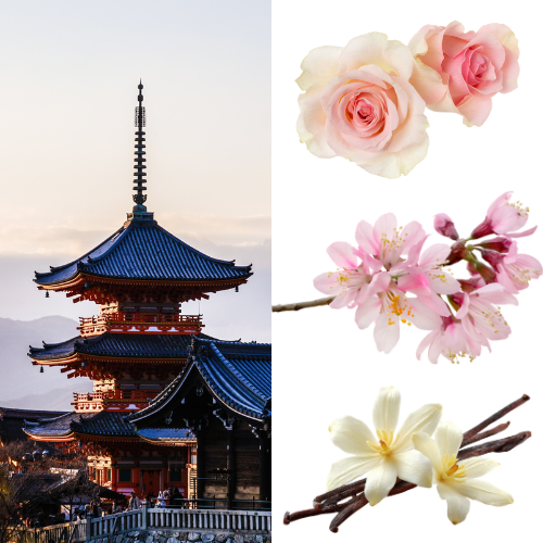 Recharge "Jardin de Sakura" - TANA Collection