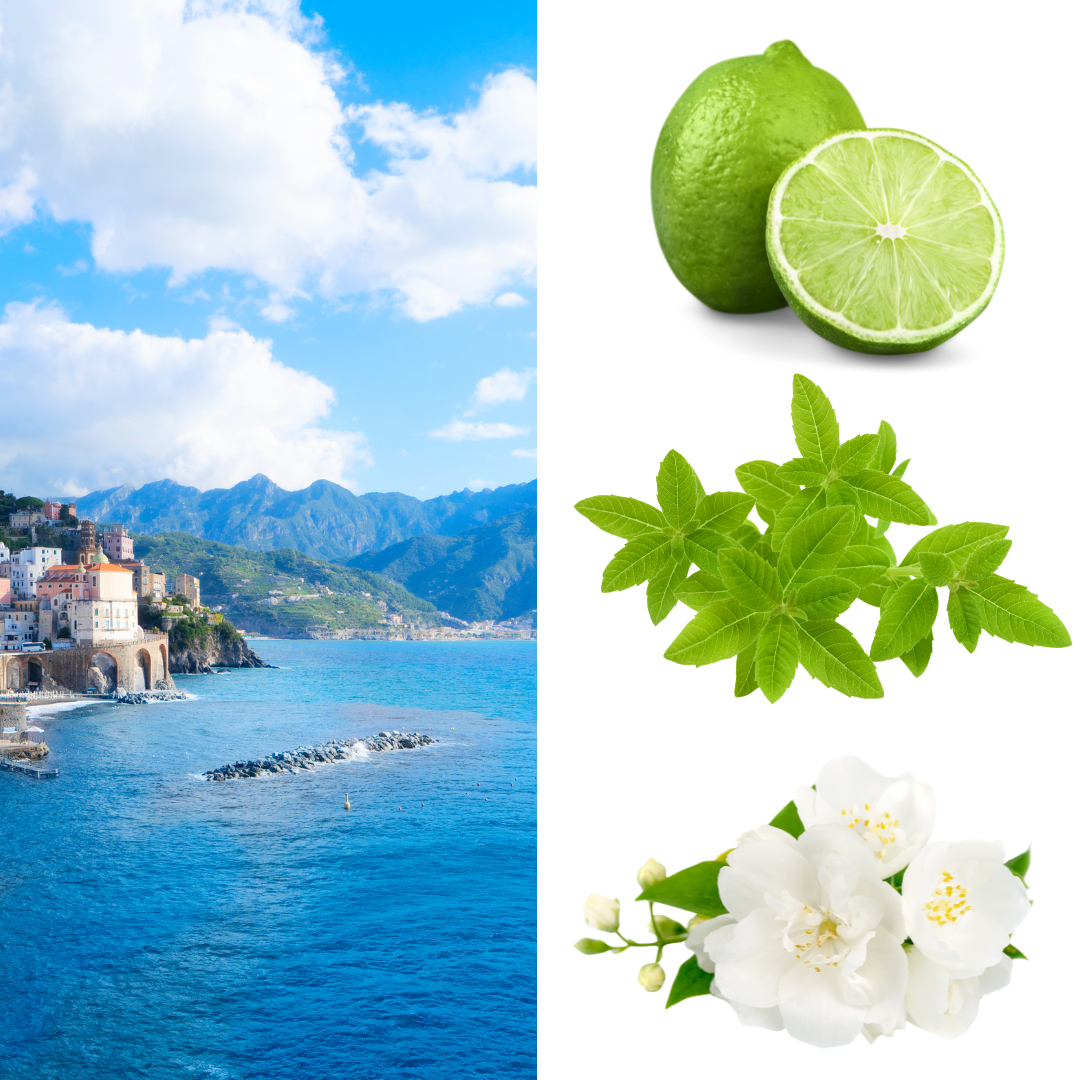 "Brise de Amalfi" Bougie parfumée - TANA Collection