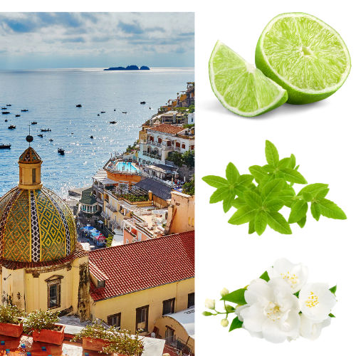 Brise de Amalfi - Recharge pour bougie - TANA Collection