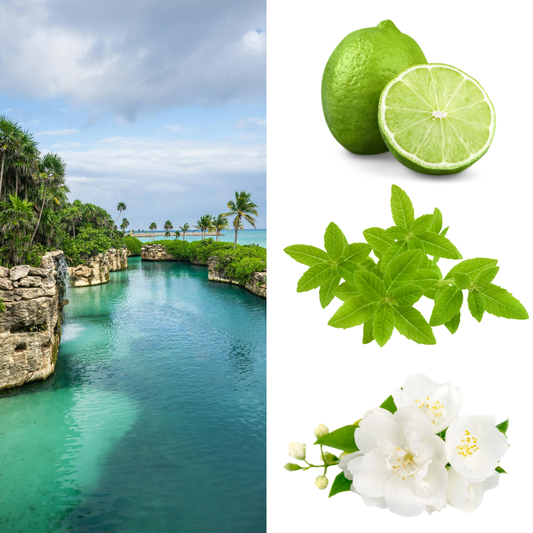 Brise de Amalfi - Tablette Florale Parfumée